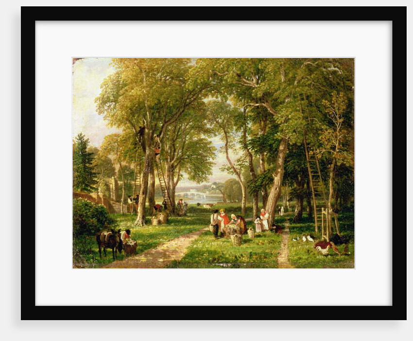Walnut Gathering in Petersham, Near Richmond Bridge by William Havell