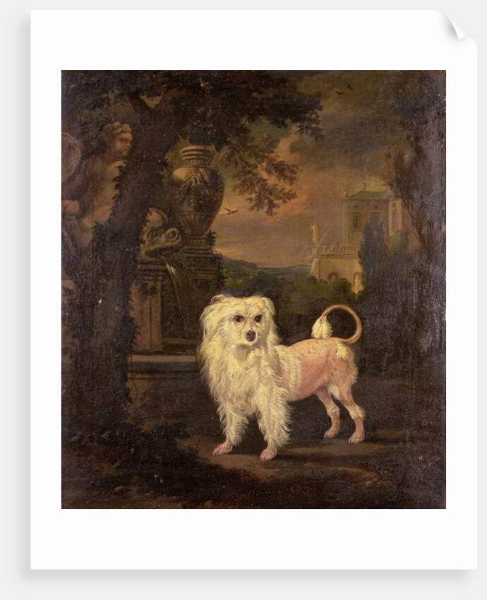 A Lowchen By A Fountain by Jan Wyck