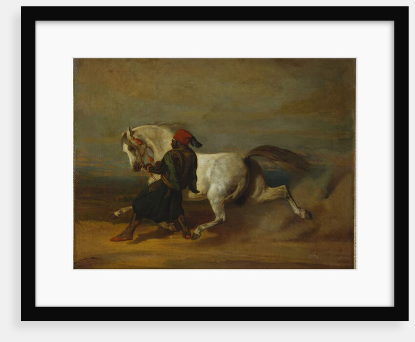 The Pasha's Pride by Alfred Dedreux or de Dreux