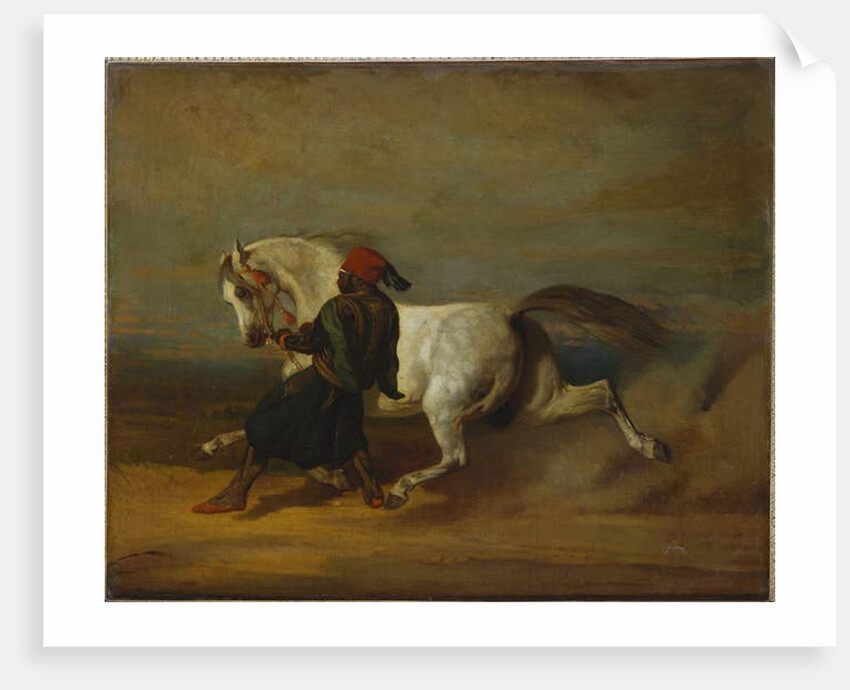 The Pasha's Pride by Alfred Dedreux or de Dreux