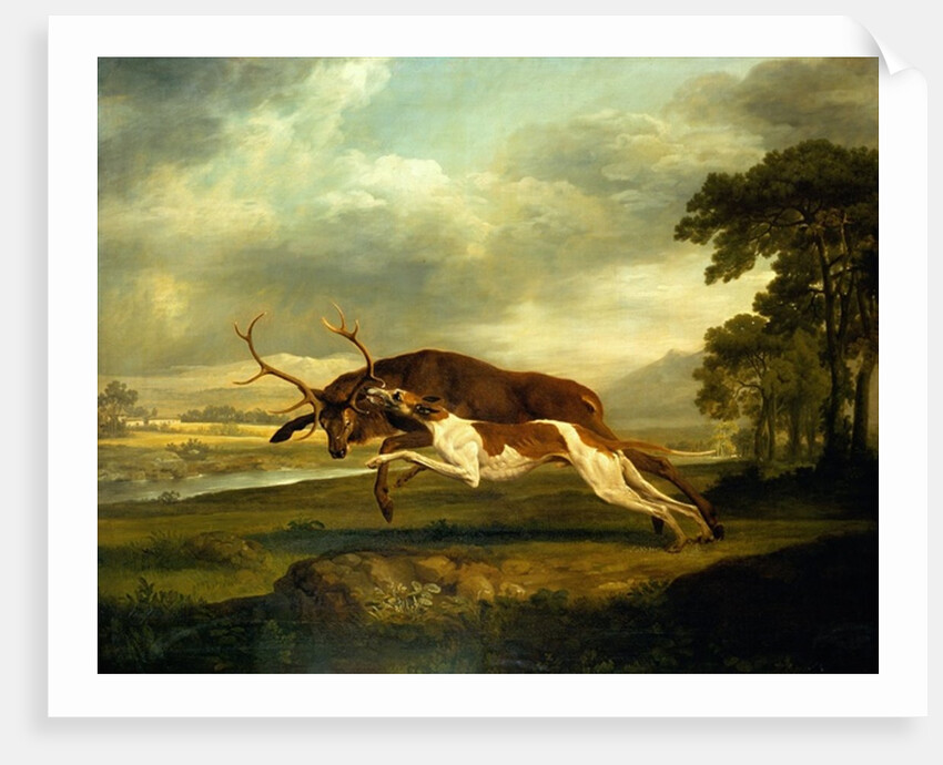 A Hound attacking a stag by George Stubbs