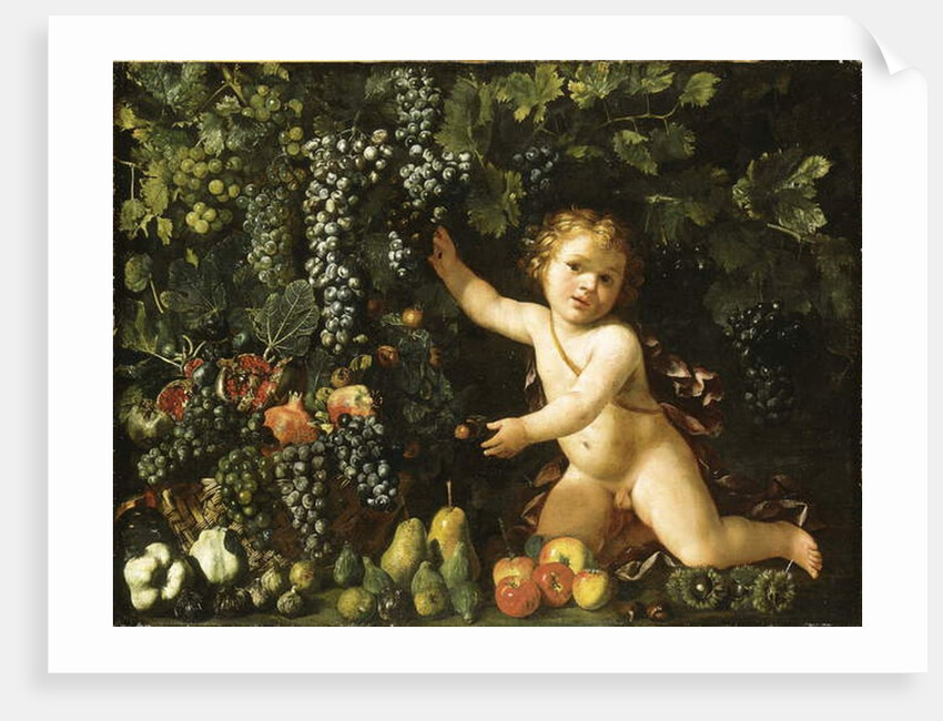 Grapes on the vine, pomegranates, grapes, and rosehips in a basket, with figs, apples, pears and chestnuts by a putto by Master of the Acquavella Still Life