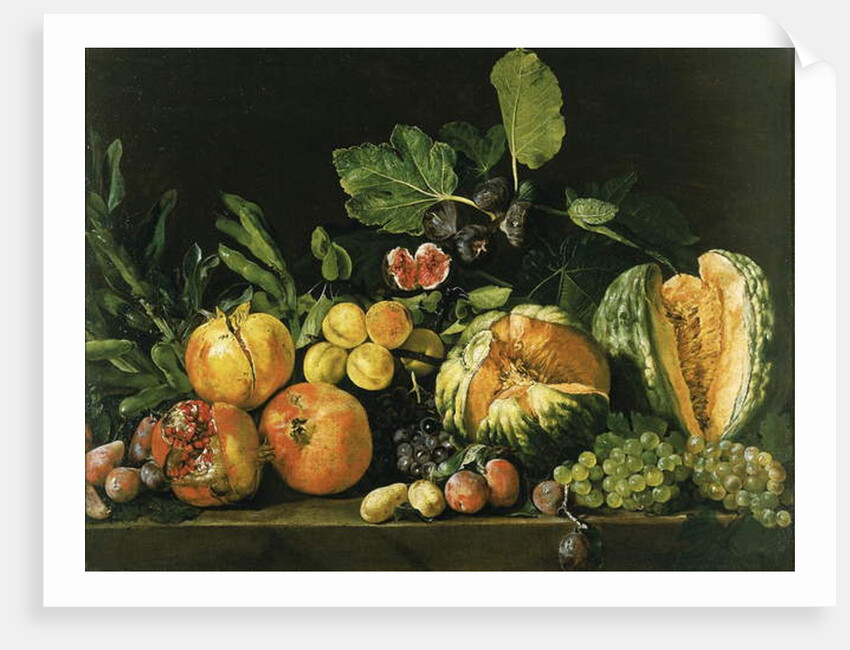 Pomegranates, melons, grapes, peaches, figs and other fruits on a stone ledge by Master of the Acquavella Still Life