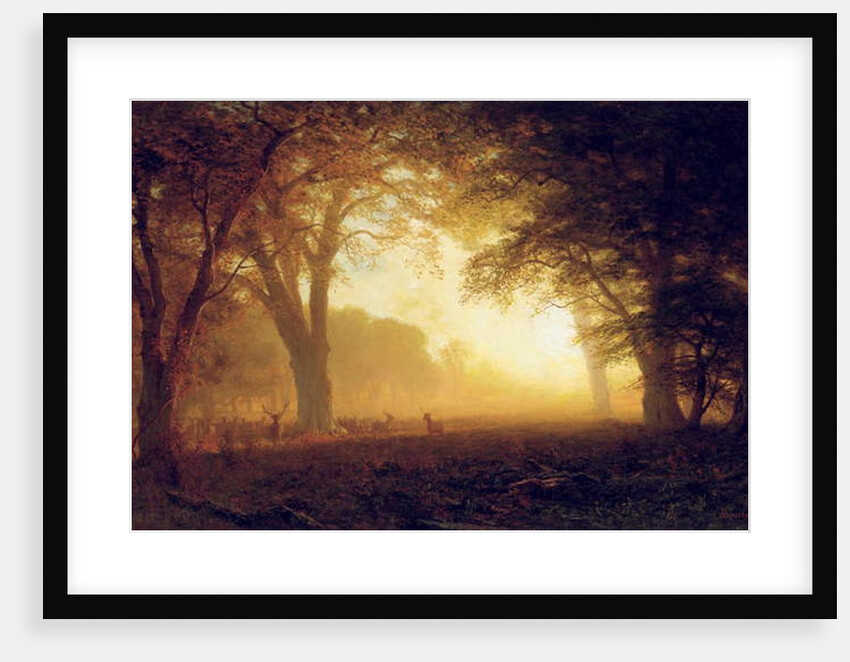 Golden Light of California by Albert Bierstadt