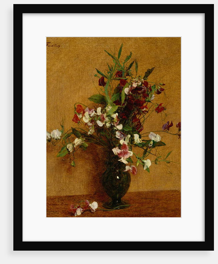Sweet Peas; Pois de Senteur, 1888 by Ignace Henri Jean Fantin-Latour