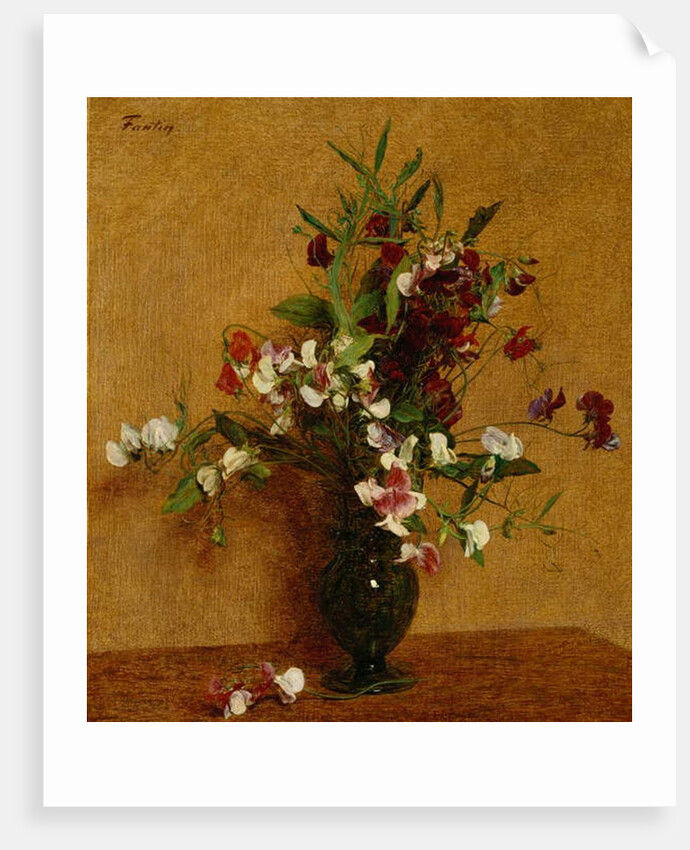 Sweet Peas; Pois de Senteur, 1888 by Ignace Henri Jean Fantin-Latour