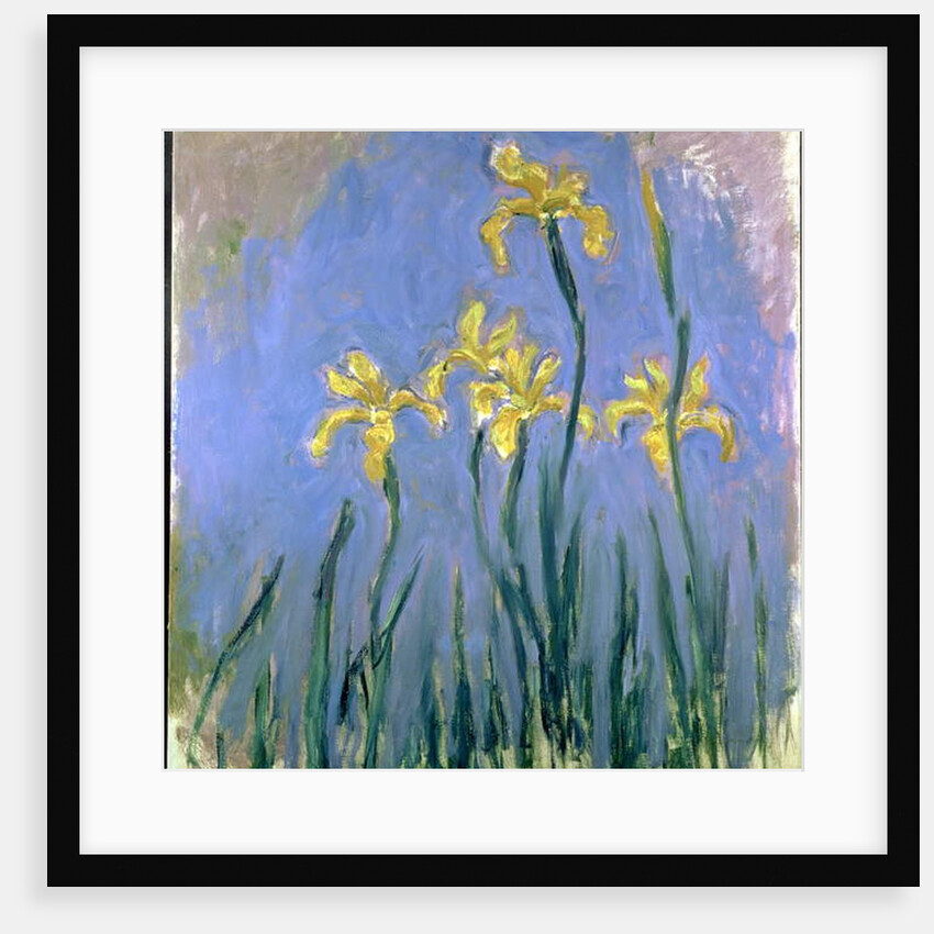 Yellow Irises; Les Iris Jaunes, c.1918-1925 by Claude Monet