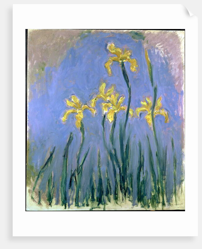 Yellow Irises; Les Iris Jaunes, c.1918-1925 by Claude Monet