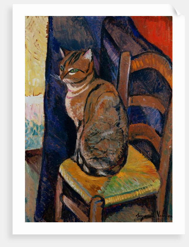 Study of a Cat Sitting on a Chair; Etude d'un Chat, Assis sur une Chaise by Marie Clementine Valadon