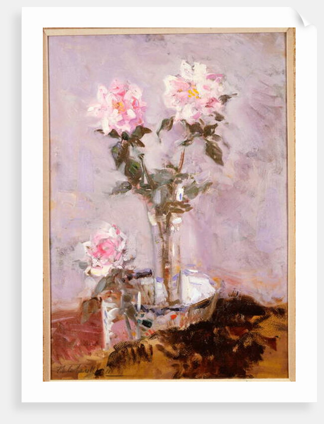 Pink Roses in a Glass Vase, 1911 by Francis Campbell Boileau Cadell