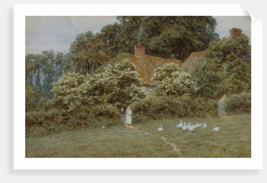 A Cottage at Farringford, Isle of Wight by Helen Allingham