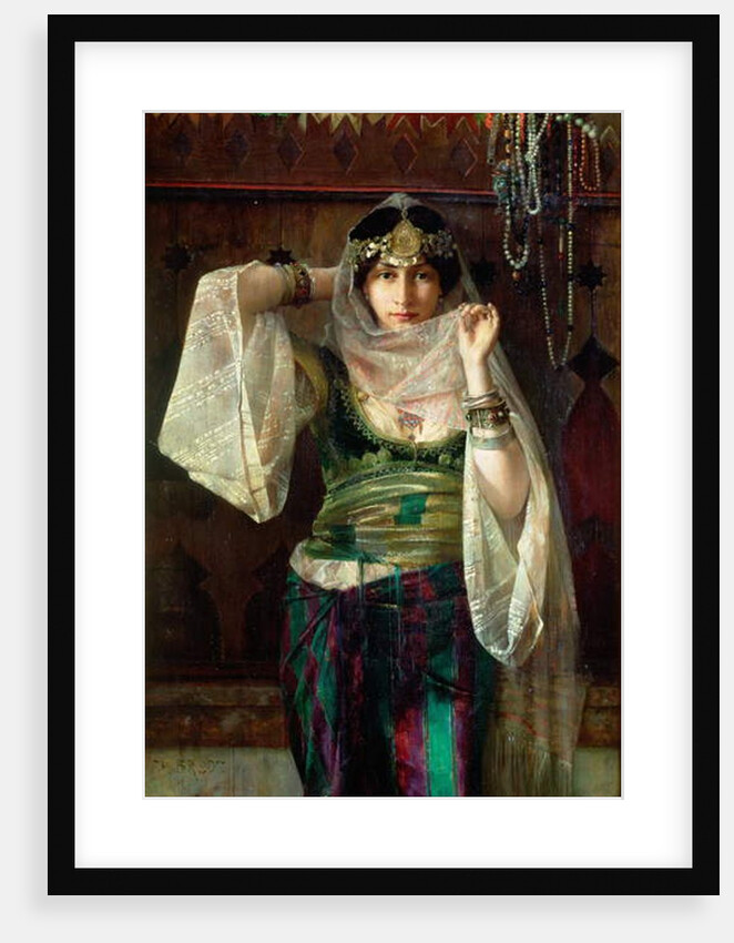 The Queen of the Harem by Max Ferdinand Bredt