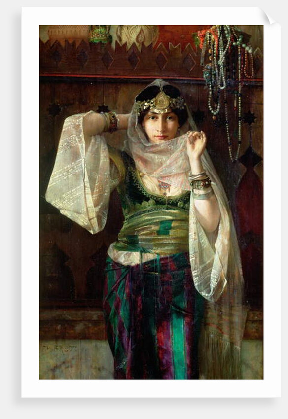 The Queen of the Harem by Max Ferdinand Bredt
