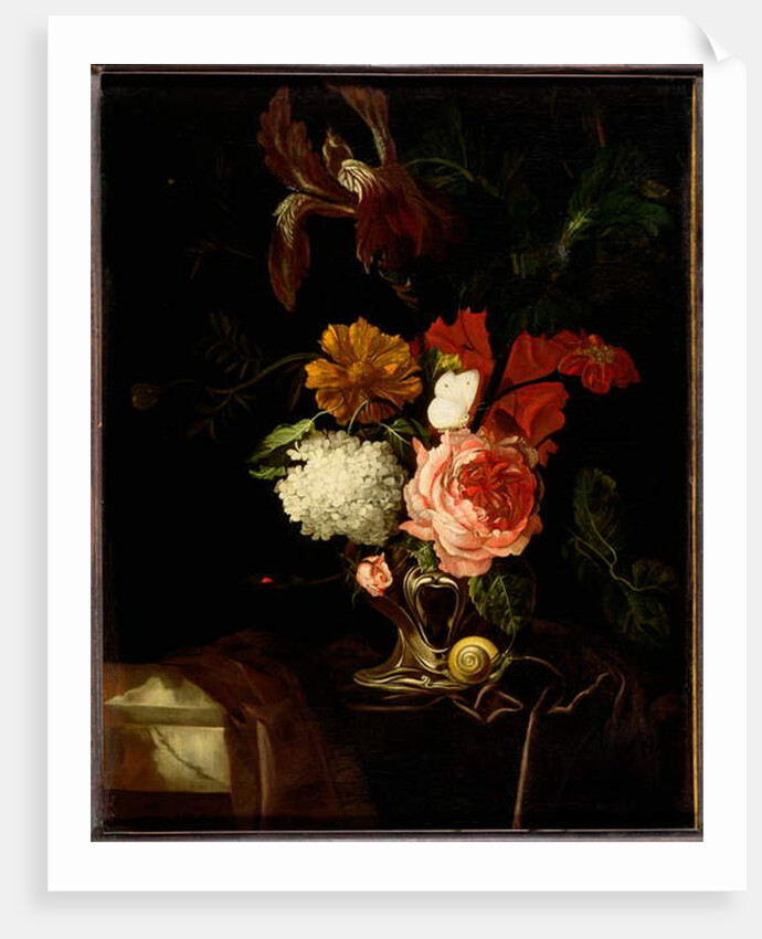A Rose, an Iris, Lilac and other Flowers in an Auricular Silver Vase with a Snail and a Butterfly on a Draped Ledge by Willem van Aelst