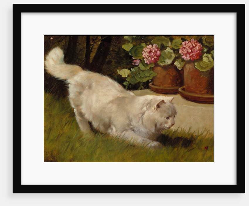 A White Persian Cat with a Ladybird by Arthur Heyer