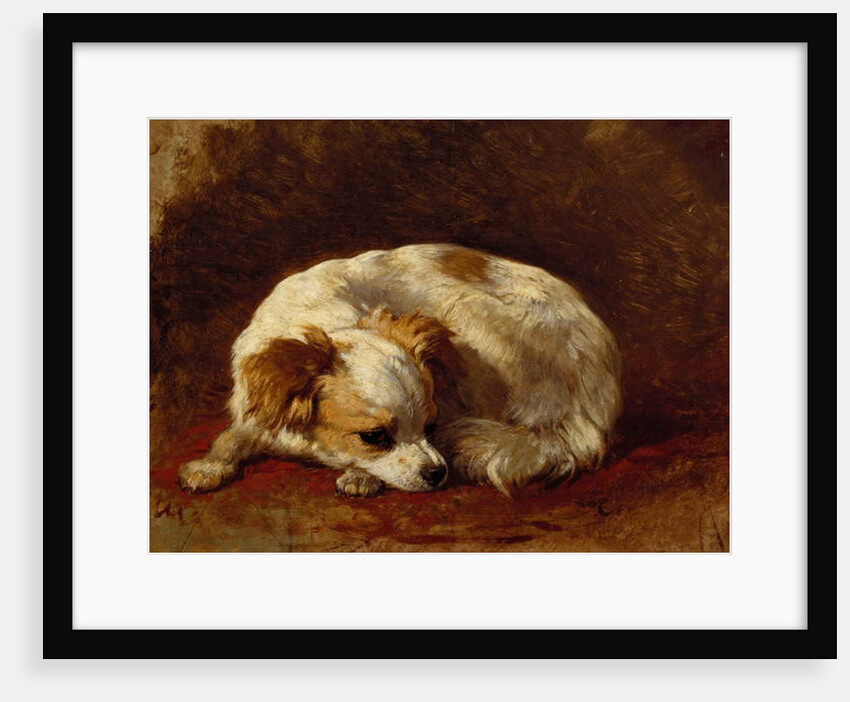 A Papillon by Henriette Ronner-Knip