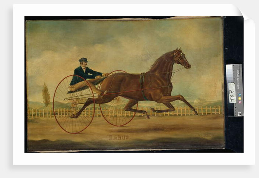 Rarus by Nicholas Winfield Scott Leighton