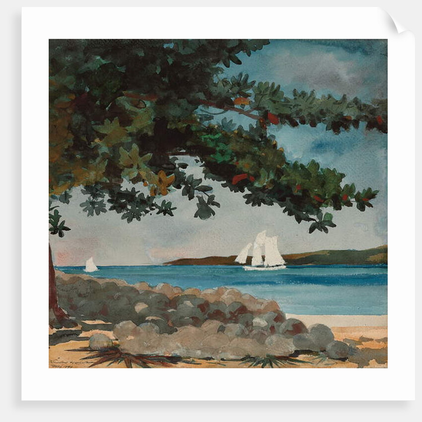 Nassau: Water and Sailboat, 1899 by Winslow Homer