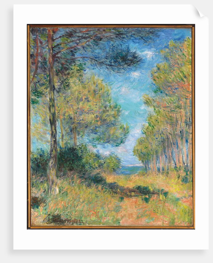 Pine Tree Path at Varengeville; Allee de sapins Varengeville, 1882 by Claude Monet