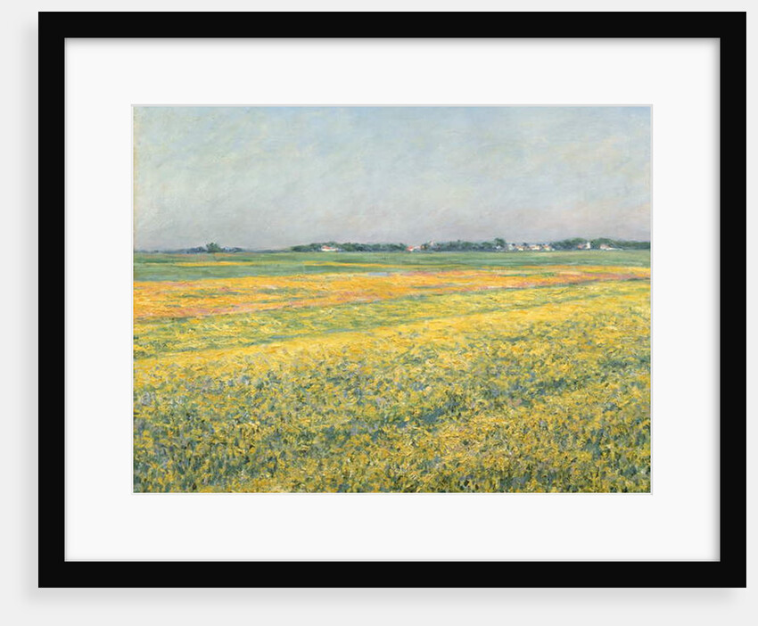 The Plain of Gennevilliers, Yellow Fields; La plaine de Gennevilliers, champs jaunes, 1884 by Gustave Caillebotte