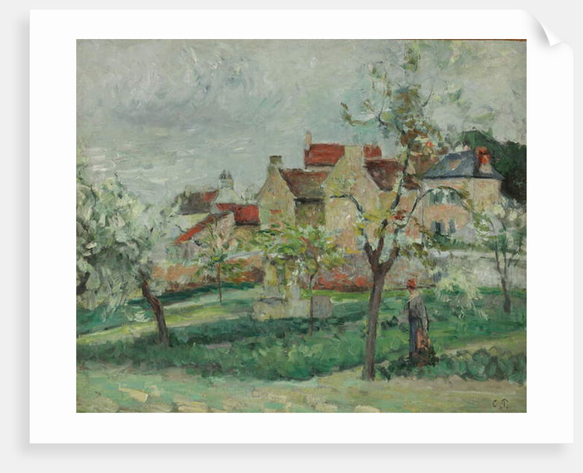Flowering Plum Tress, Pontoise; Pruniers en fleur, Pontoise, c.1876 by Camille Pissarro