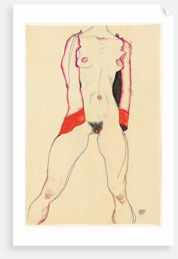 Female Torso by Egon Schiele