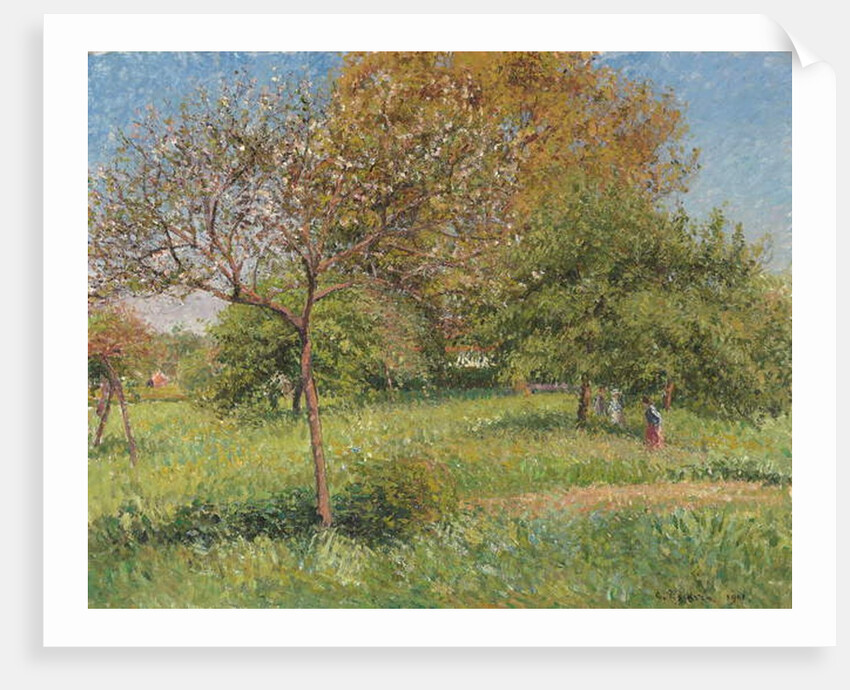 The Great Walnut Tree, Morning, Eragny by Camille Pissarro