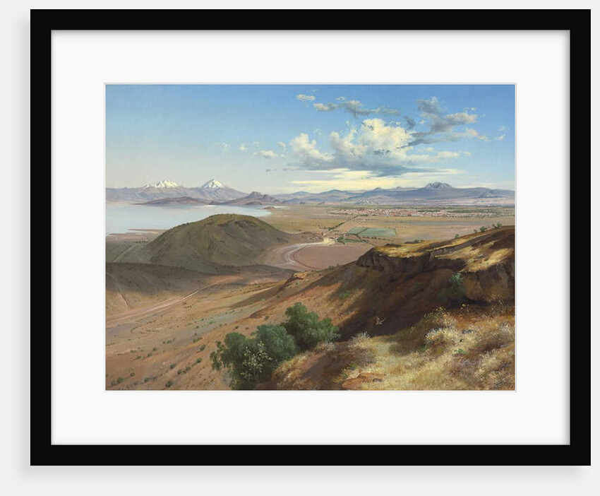 Valley of Mexico from the Hill of Saint Isabel, 1892 by Jose Maria Velasco