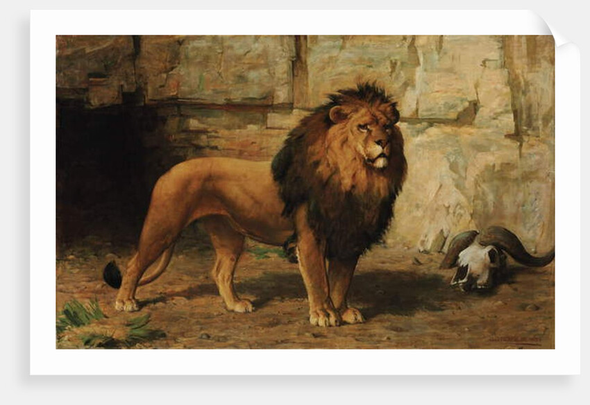 A Lion Guarding his Den, 1886 by George Goodwin Jnr Kilburne