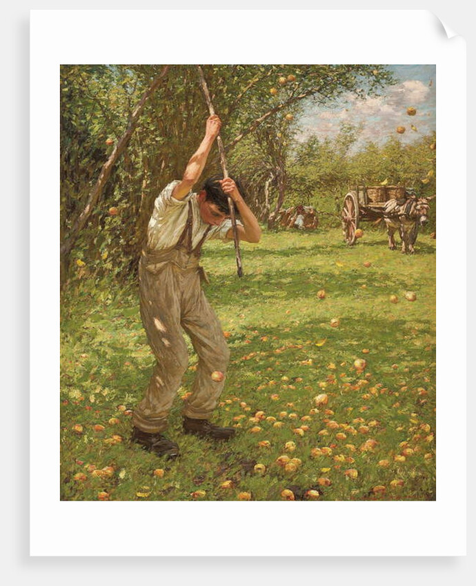 Shaking Down Cider Apples by Henry Herbert La Thangue