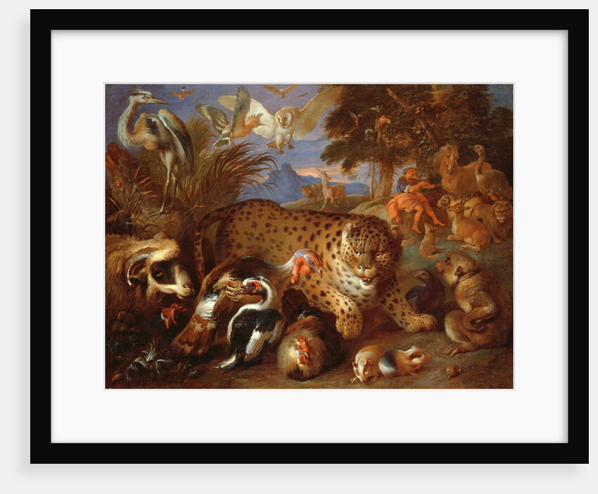 Orpheus Charming the Animals by Giovanni Francesco Castiglione