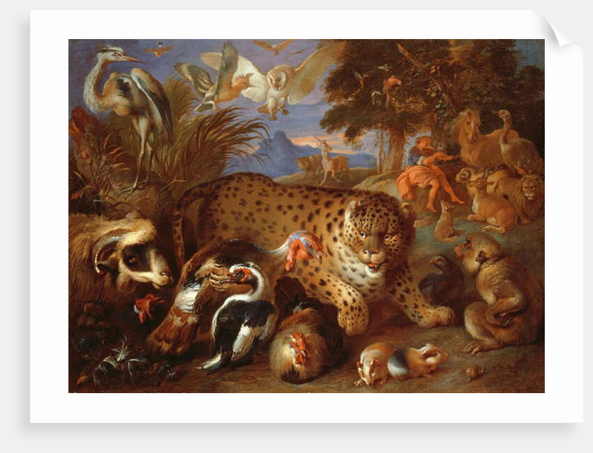 Orpheus Charming the Animals by Giovanni Francesco Castiglione