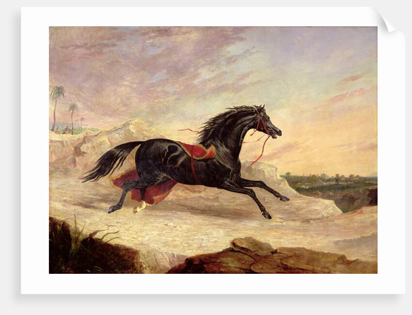 Arabs chasing a loose arab horse in an eastern landscape by John Frederick Herring Snr