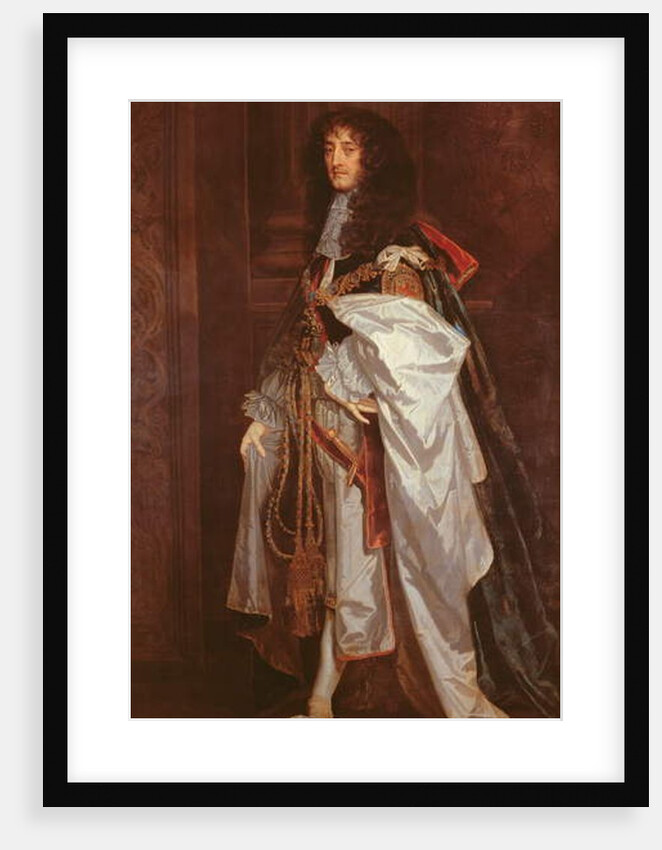 Portrait of Prince Rupert in Garter Robes by Peter Lely