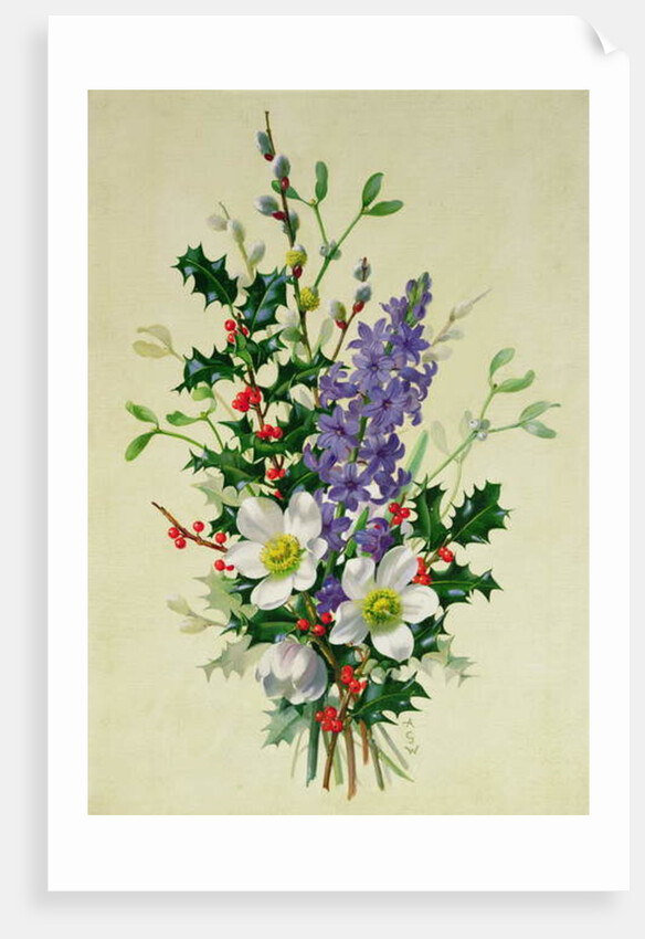 Spray of Dogrose, Holly, Mistletoe and Larkspur by Albert Williams