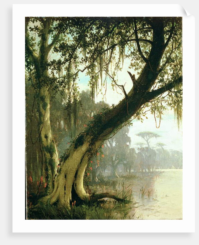In the Bayou by Joseph Rusling Meeker