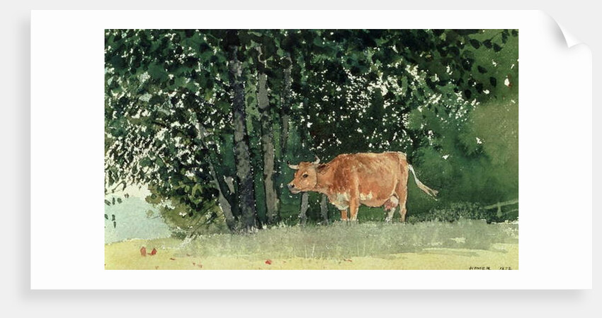 Cow in Pasture, 1878 by Winslow Homer