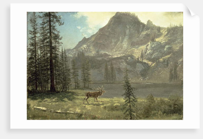 Call of the Wild by Albert Bierstadt