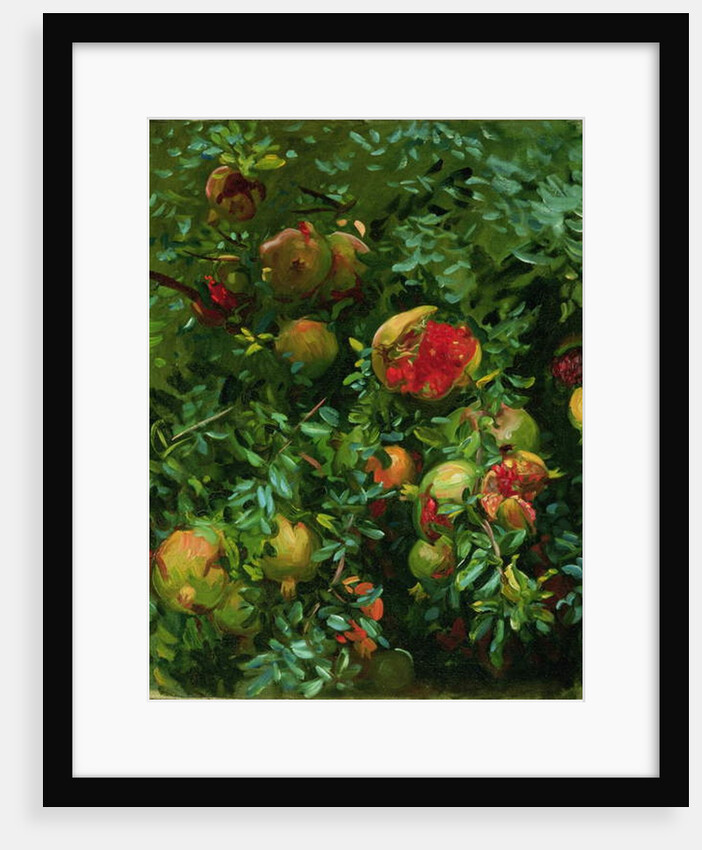 Pomegranates, Majorca, c.1908 by John Singer Sargent