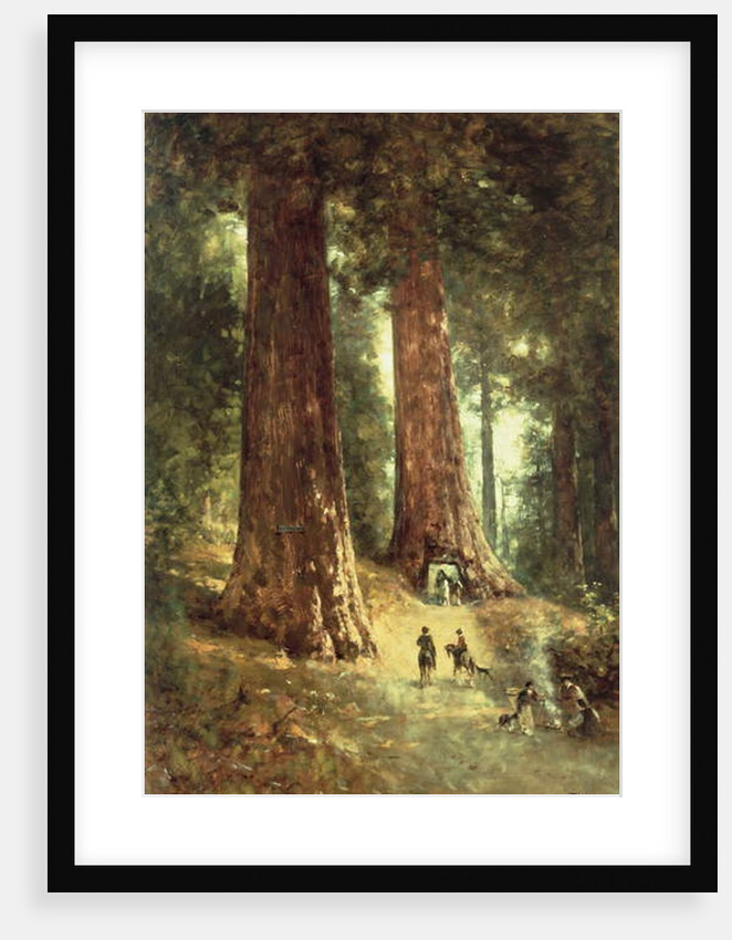 In the Redwoods, 1899 by Thomas Hill