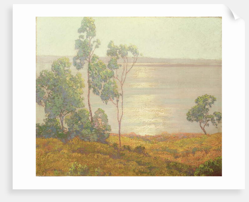 The Morning Sun, San Diego by Maurice Braun