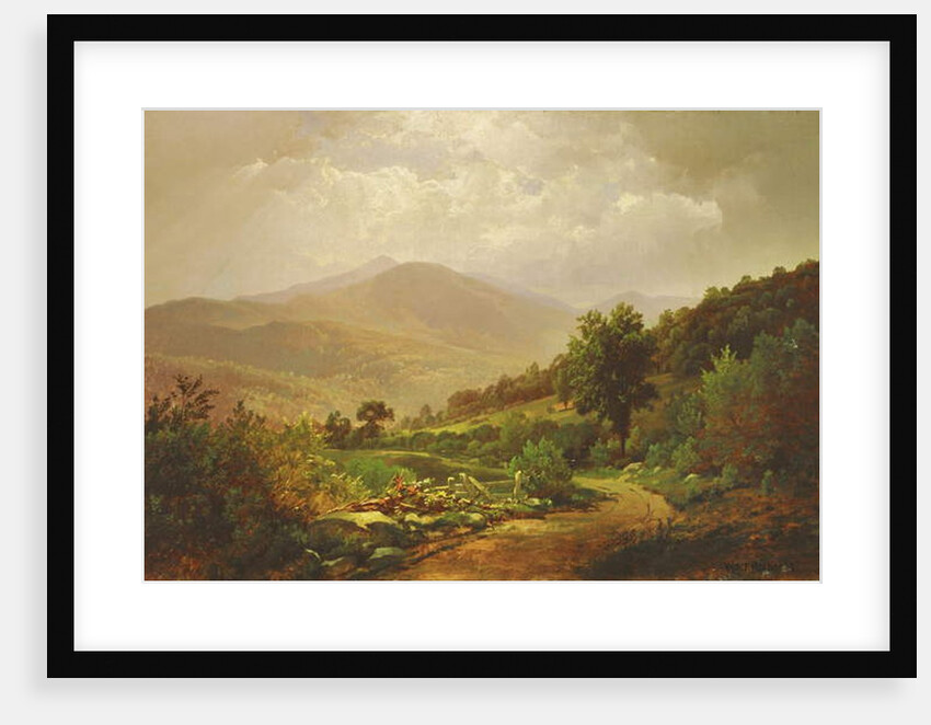 Bouquet Valley in the Adirondacks by William Trost Richards