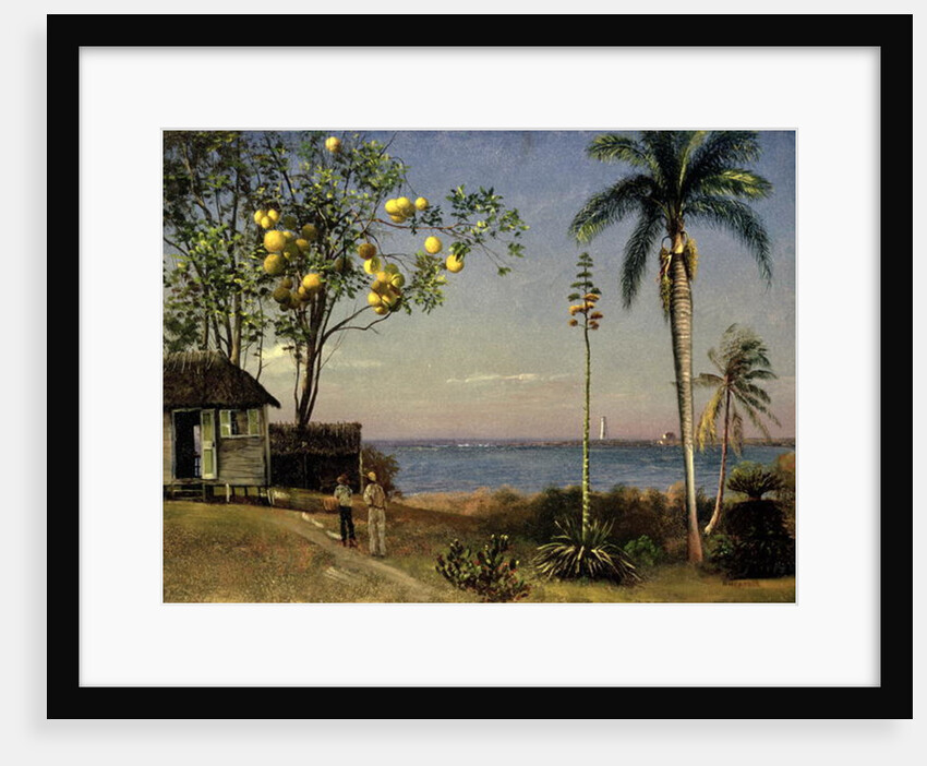 Tropical Scene by Albert Bierstadt