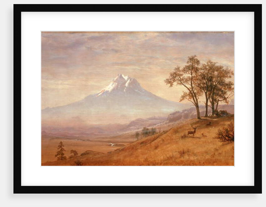 Mount Hood, 1863 by Albert Bierstadt