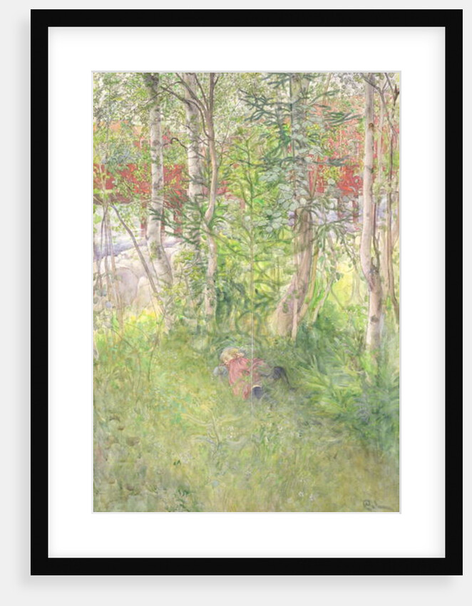 A Nap Outdoors by Carl Larsson
