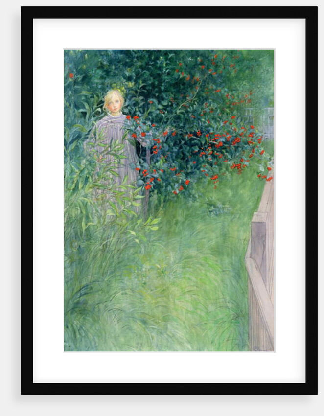 In the Hawthorn Hedge by Carl Larsson