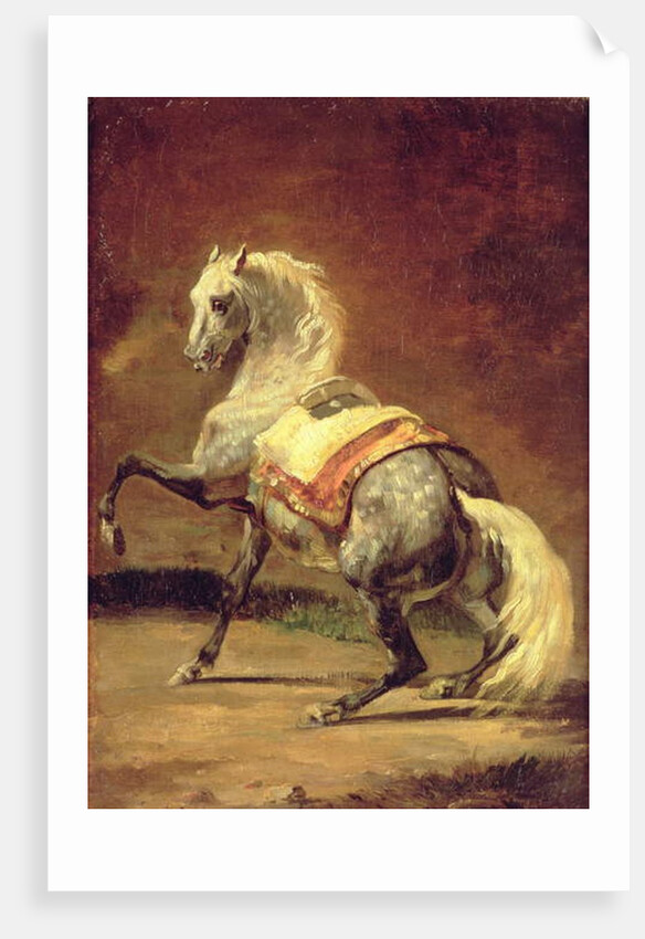 Dappled Grey Horse by Theodore Gericault