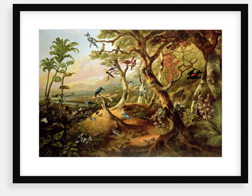 Exotic Birds and Insects Among Trees and Foliage in a Mountainous River Landscape by Philip Reinagle