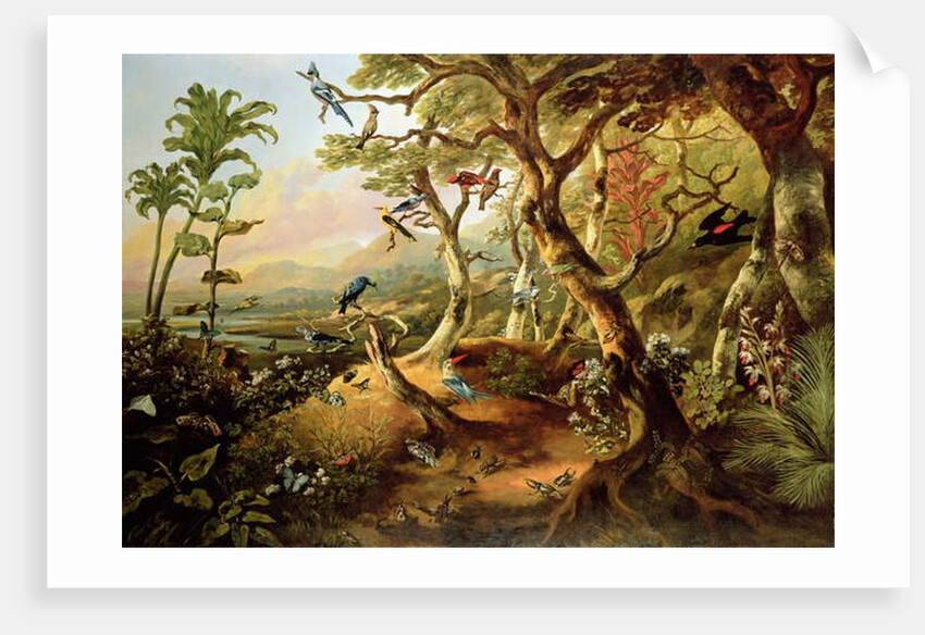 Exotic Birds and Insects Among Trees and Foliage in a Mountainous River Landscape by Philip Reinagle