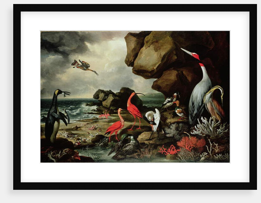 A Penguin, a Pair of Flamingoes, and Other Exotic Birds, Shells, and Coral on the Shoreline by Philip Reinagle